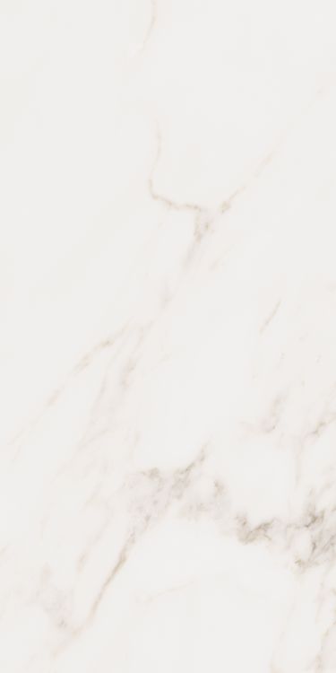 Omnia Calacatta Levigato 12 x 24